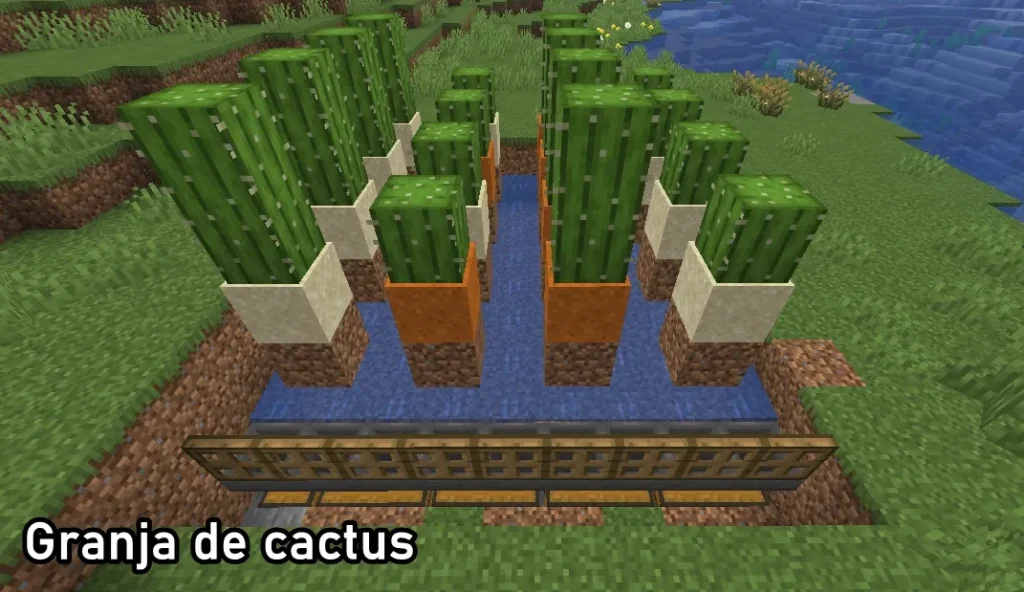 Granja de Cactus automática Minecraft Tutorial