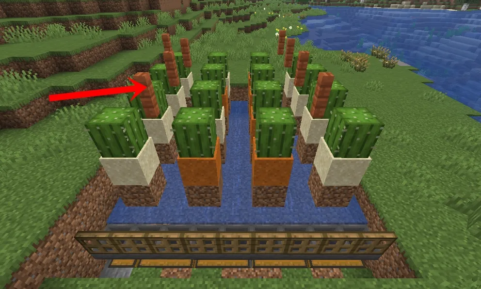 Granja de Cactus automática Minecraft Tutorial