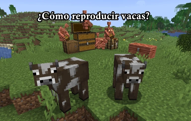 ¿Como reproducir vacas en minecraft? Solucion