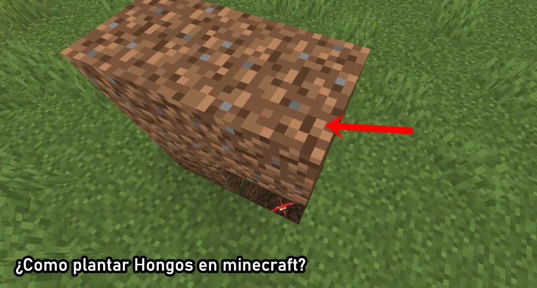 ¿Como plantar Hongos en minecraft?
