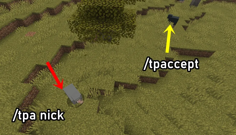 ¿Como teletransportarse donde un amigo en minecraft?