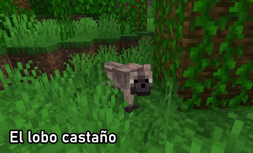 Como encontrar al Lobo Castaño en Minecraft