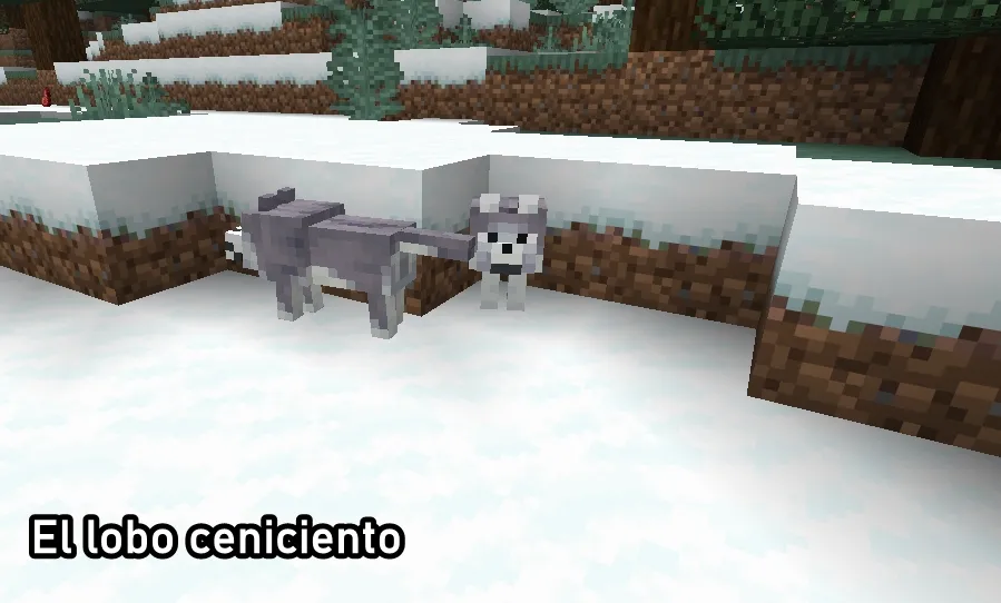 Como encontrar al Lobo Ceniciento en Minecraft