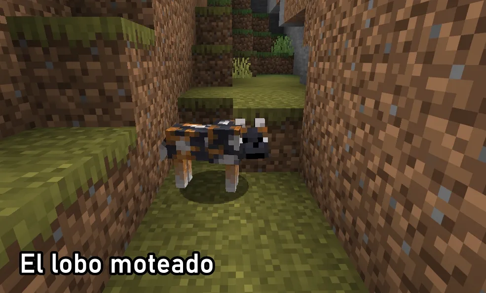 Como encontrar al Lobo Manchado o moteado en Minecraft