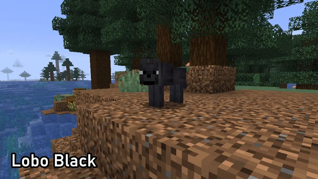 Como encontrar al Lobo Negro en Minecraft