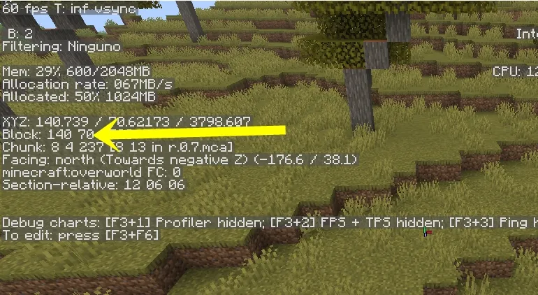 ¿Como ver las capas en minecraft?