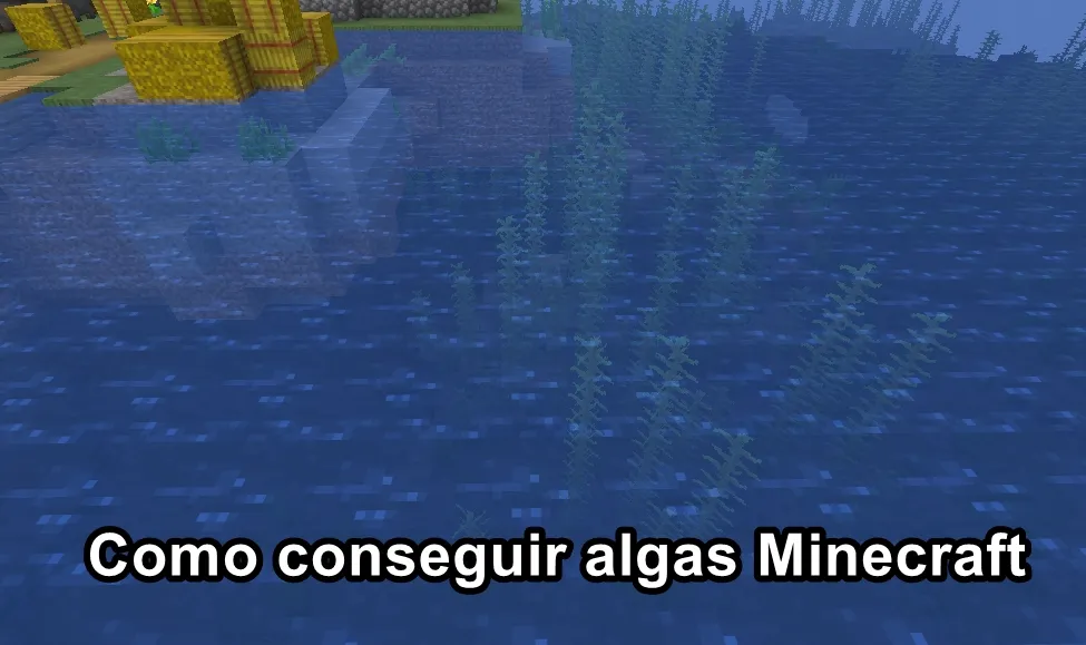 Como conseguir algas Minecraft