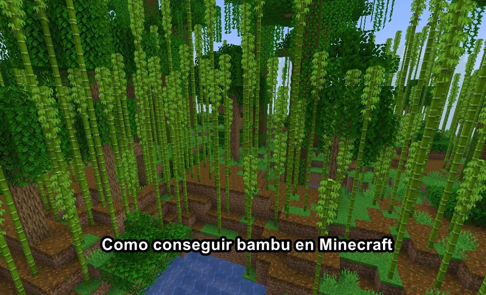 Como conseguir bambu en Minecraft