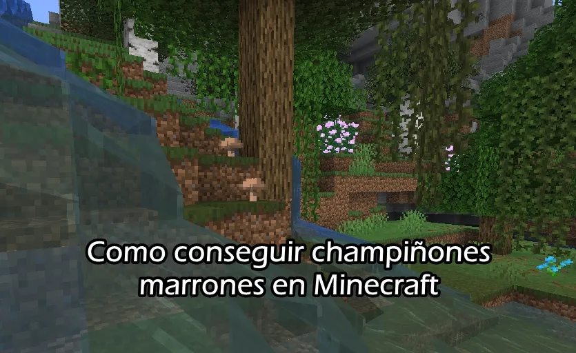 Como conseguir champiñones marrones en Minecraft