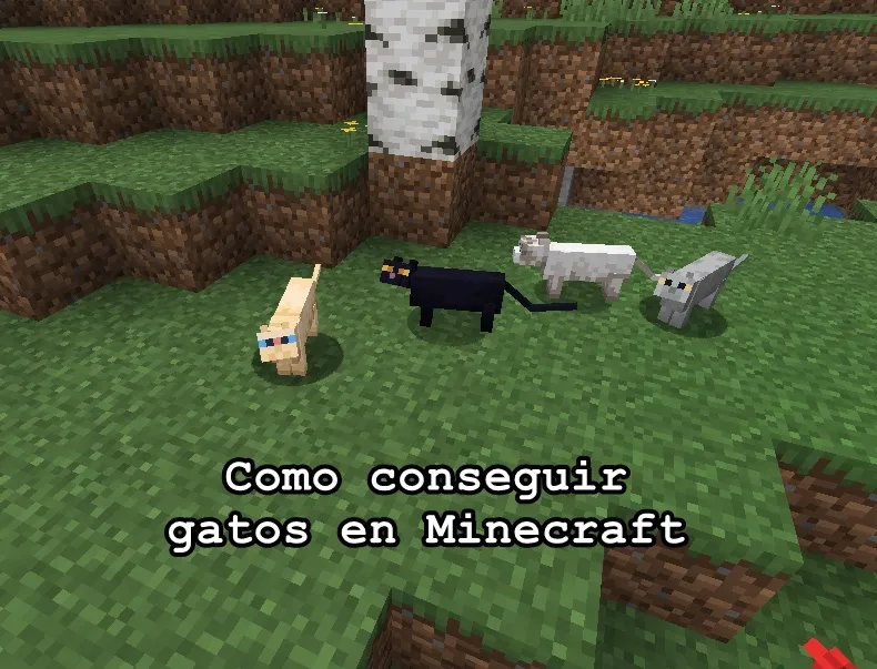 Como conseguir gatos en Minecraft