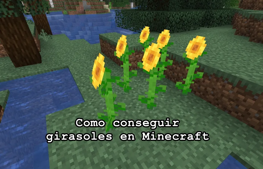 Como conseguir girasoles en Minecraft
