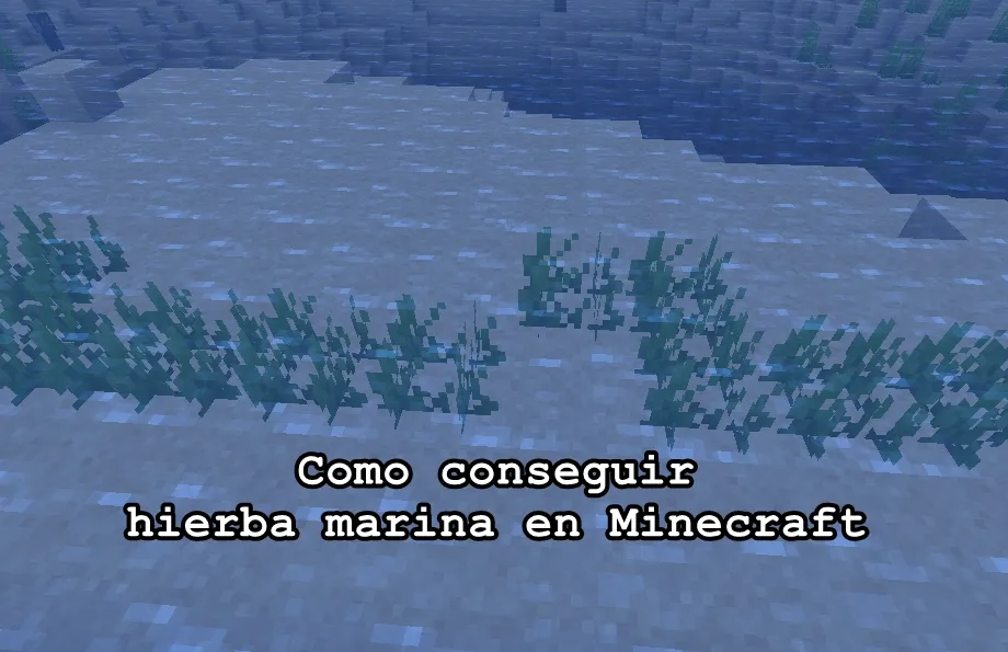 Como conseguir hierba marina en Minecraft