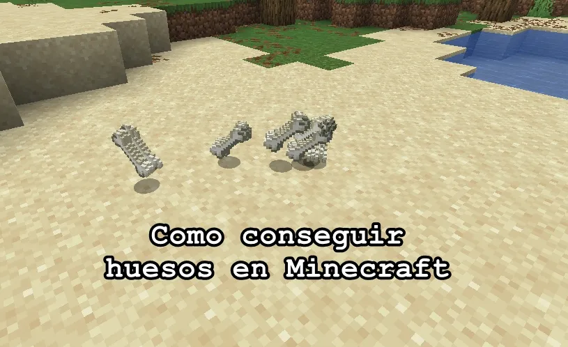 Como conseguir huesos en Minecraft