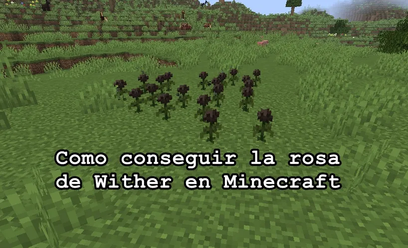 Como conseguir la rosa de Wither en Minecraft