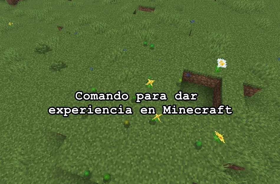 Comando para dar experiencia en Minecraft
