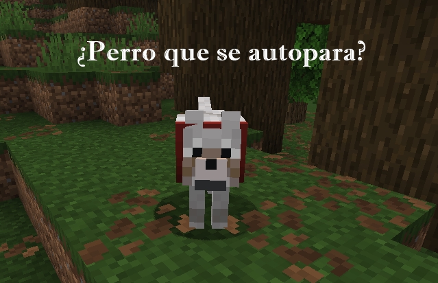 ¿Perro que se autopara en minecraft?