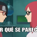 ¿Sarada porque se parece a Karin?