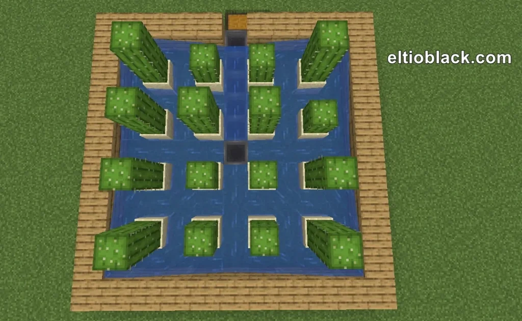 ¿Cómo hacer una granja de cactus en Minecraft?