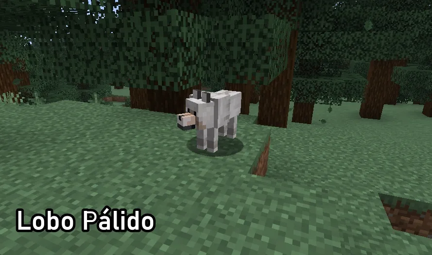 Como encontrar al Lobo Palido en Minecraft