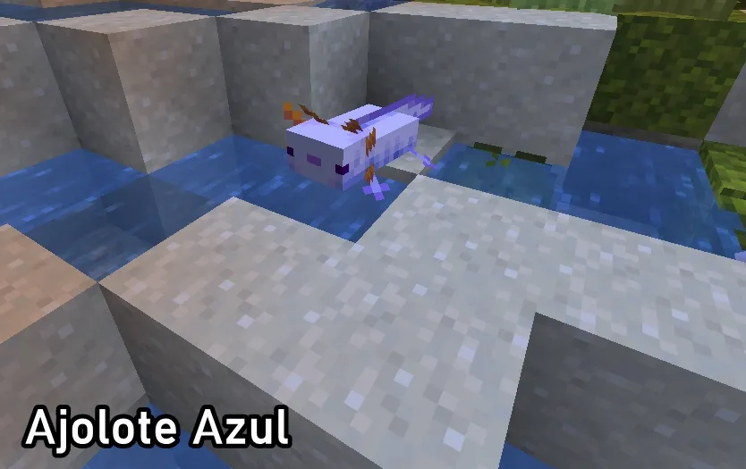todos los ajolotes minecraft informacion