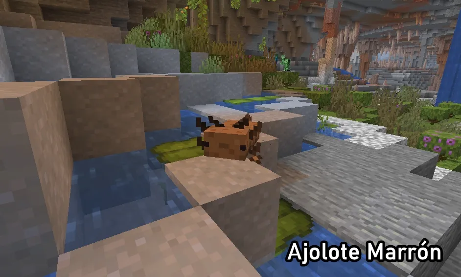 todos los ajolotes minecraft informacion