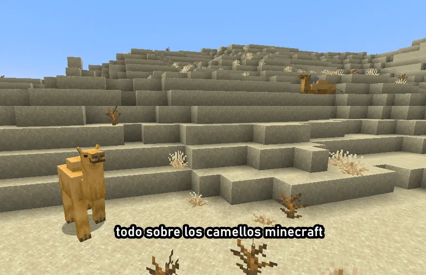todo sobre los camellos minecraft informacion