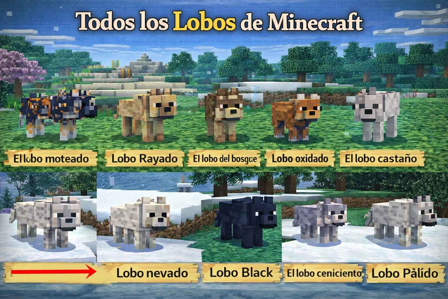 todos los lobos de minecraft y donde encontrarlos